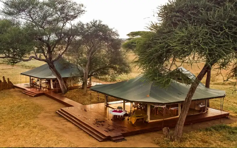 Honeyguide Tarangire Camp