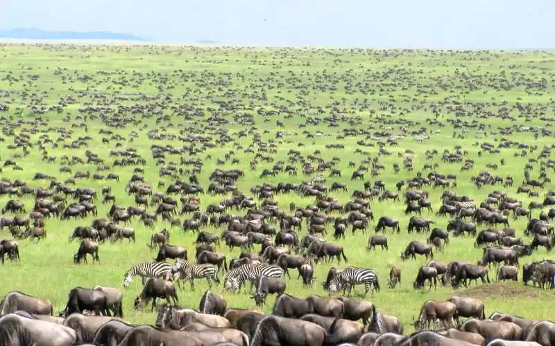 Northern Serengeti
