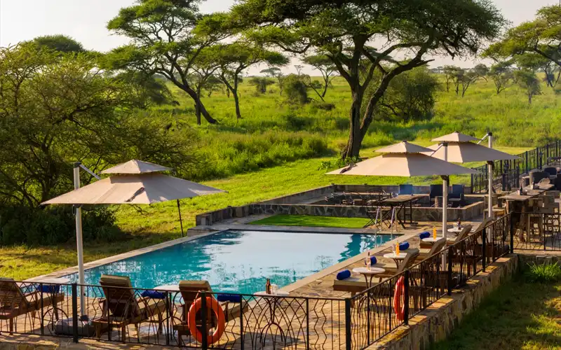 Serengeti Sametu Camp
